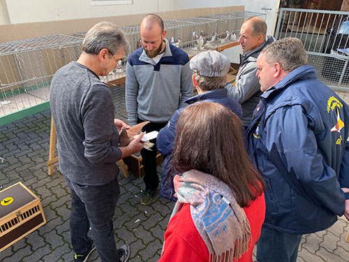 Jungtierbesprechung